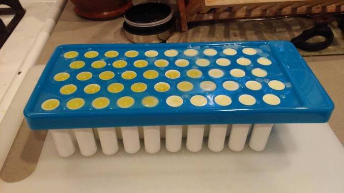 18318771_10212462425292288_290528891_o