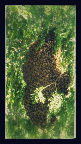 18449437_10212519491438906_3494844729620512743_o (2)