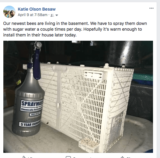 Screen Shot 2018-05-06 at 11.41.36 AM