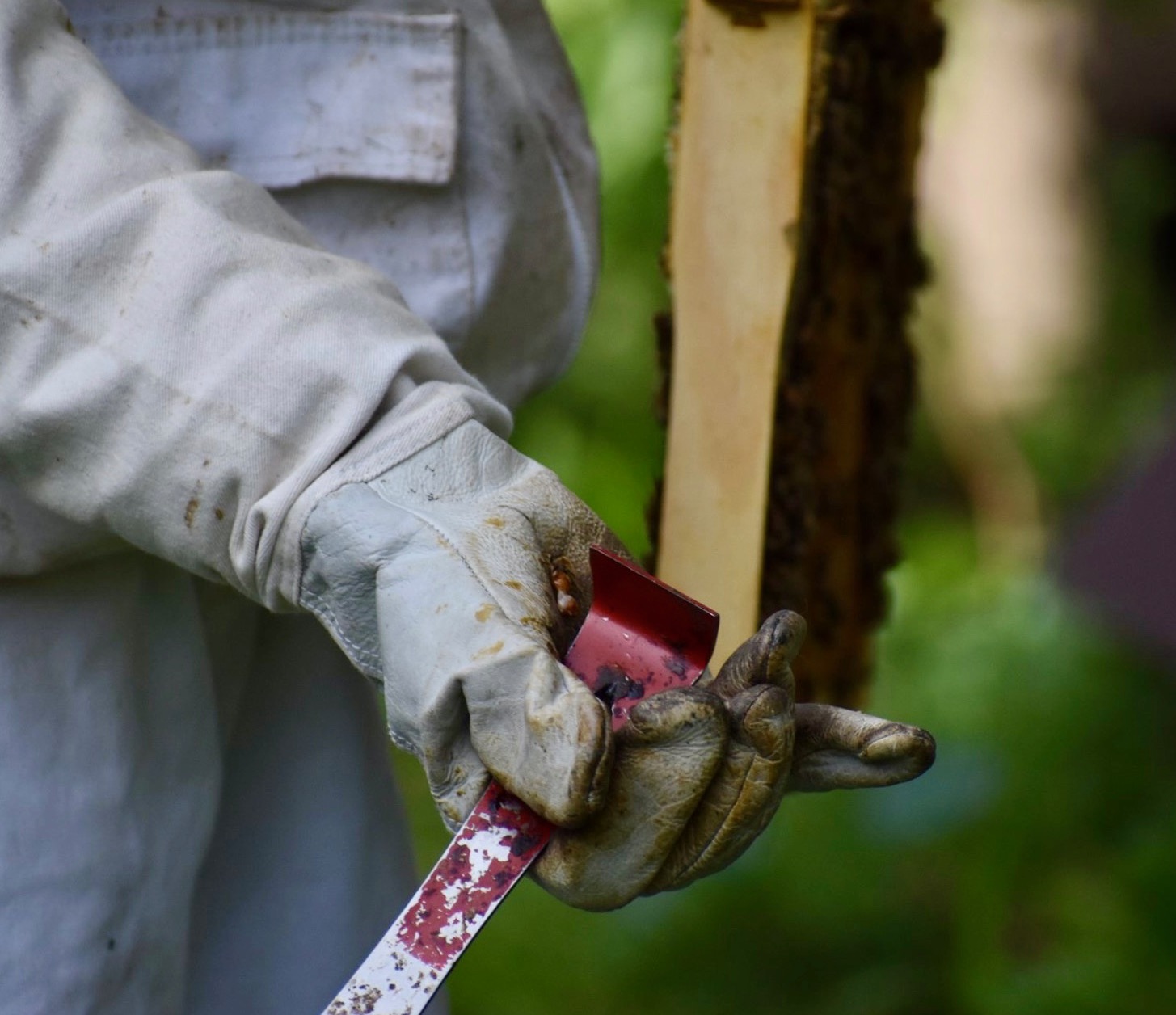 79918194_10220652265793182_3448420256886816768_o